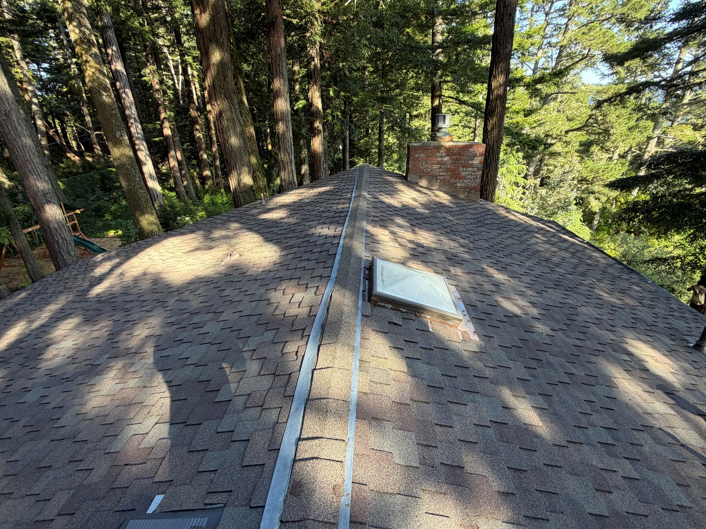 Roof Cleaning — Palo Alto
